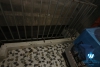 Spacious studio apartment on Kim Ma Street